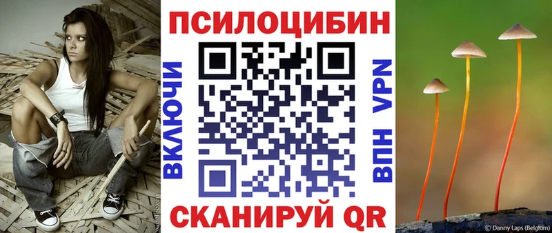 MEGA ссылка  Инза  Псилоцибиновые грибы Cubensis 